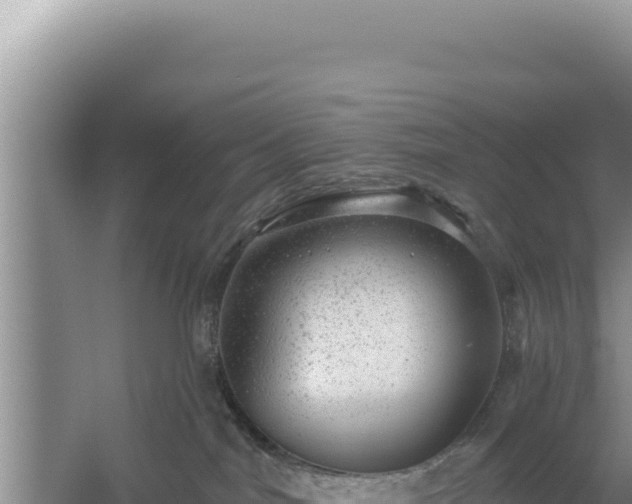 X0000054400044200508051725