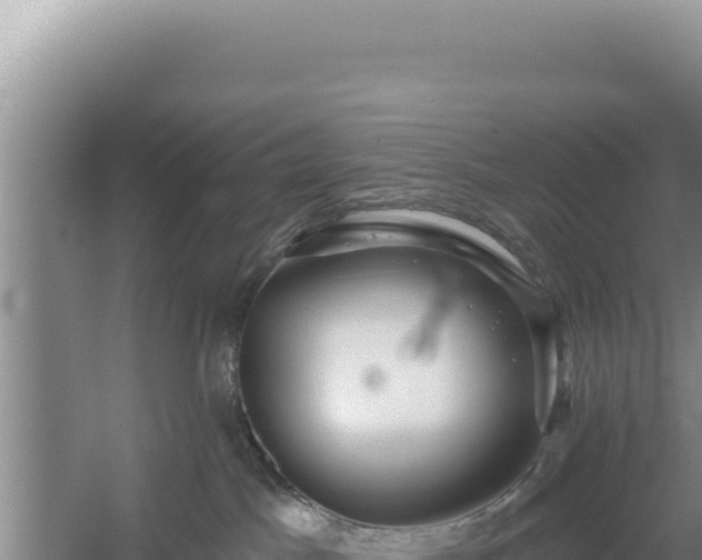 X0000054400045200508051725