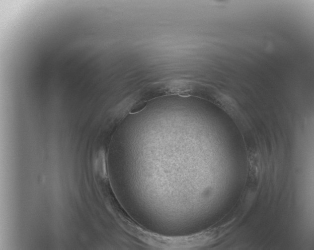 X0000054400046200508051725