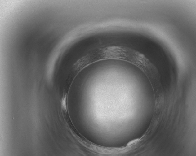 X0000054400047200508051725