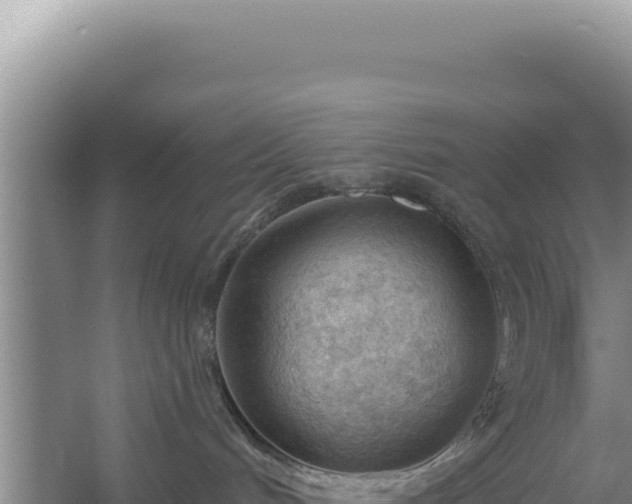 X0000054400048200508051725