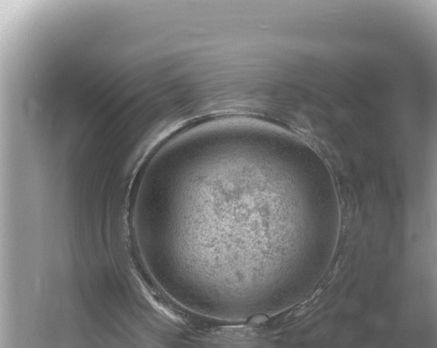 X0000054400050200508051724