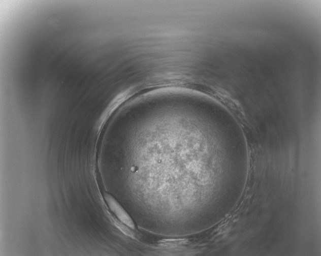 X0000054400051200508051724