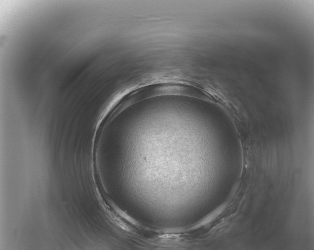 X0000054400052200508051724