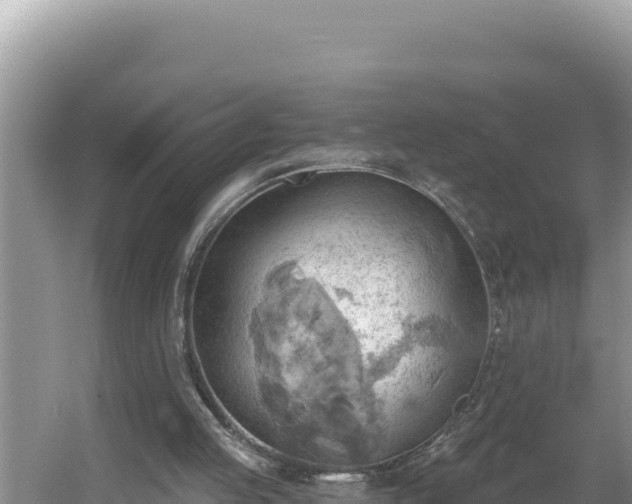 X0000054400053200508051724