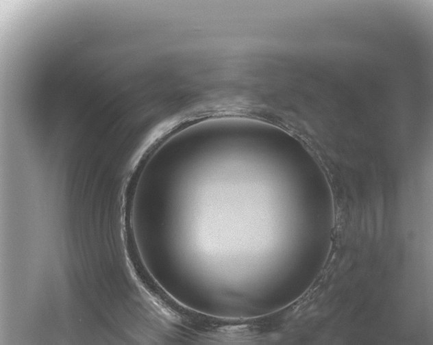 X0000054400054200508051724