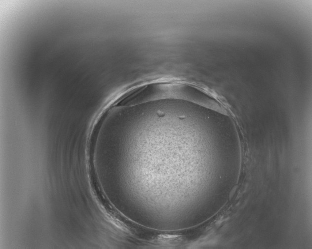 X0000054400055200508051724