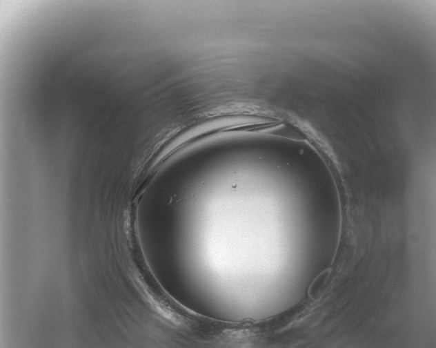 X0000054400057200508051724