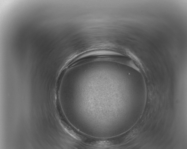 X0000054400059200508051724