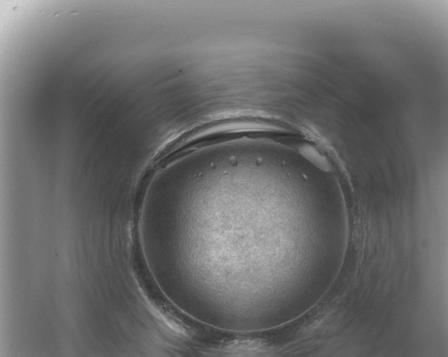 X0000054400063200508051724