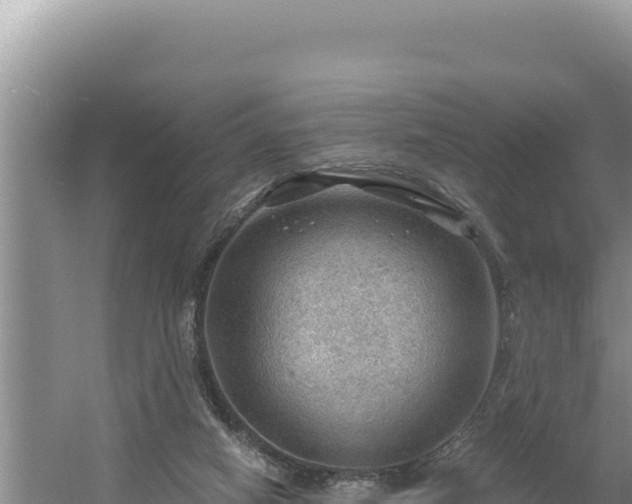 X0000054400066200508051724