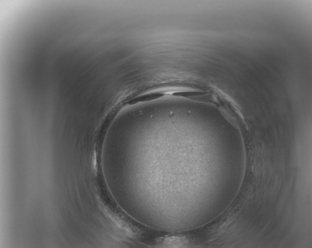 X0000054400067200508051724