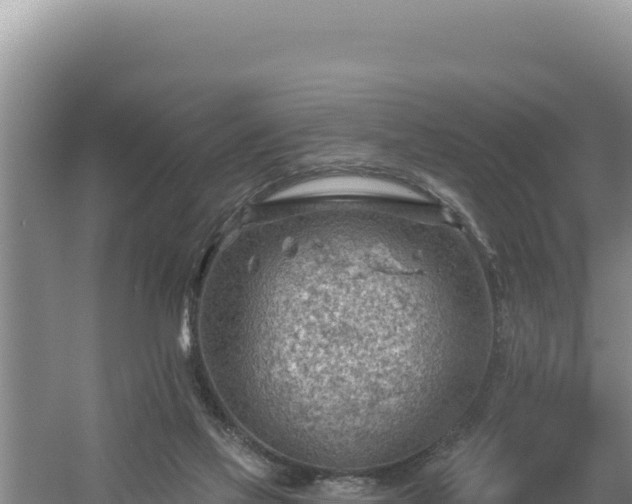 X0000054400069200508051724