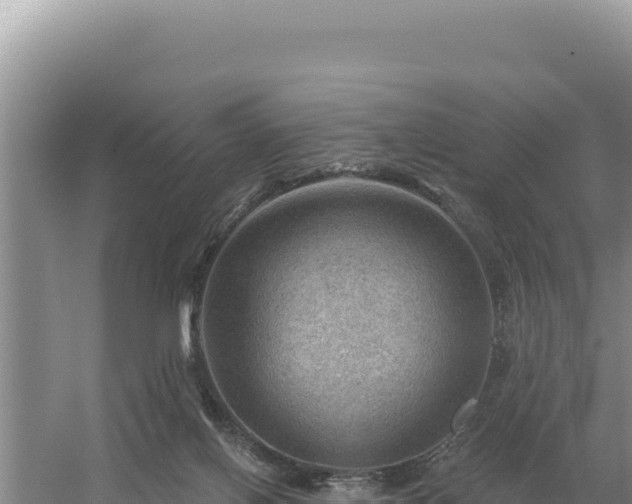 X0000054400070200508051724