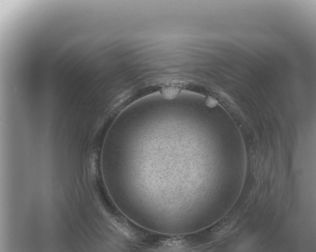 X0000054400071200508051724