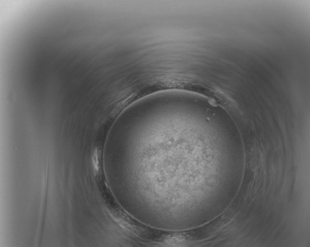 X0000054400075200508051724