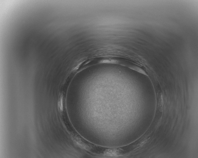 X0000054400076200508051725