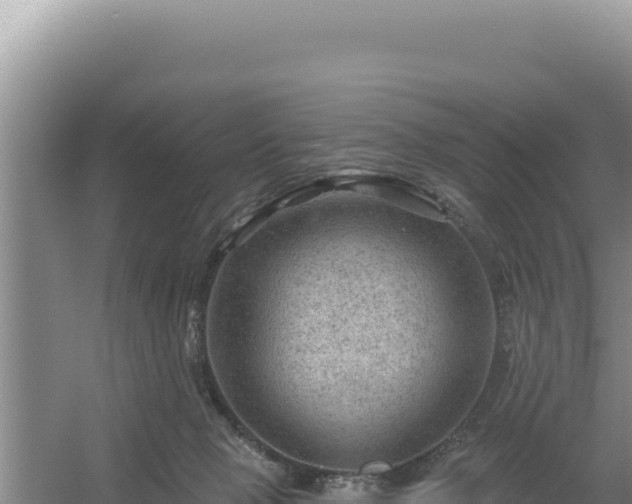 X0000054400077200508051725