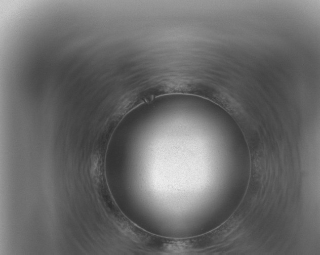 X0000054400079200508051725