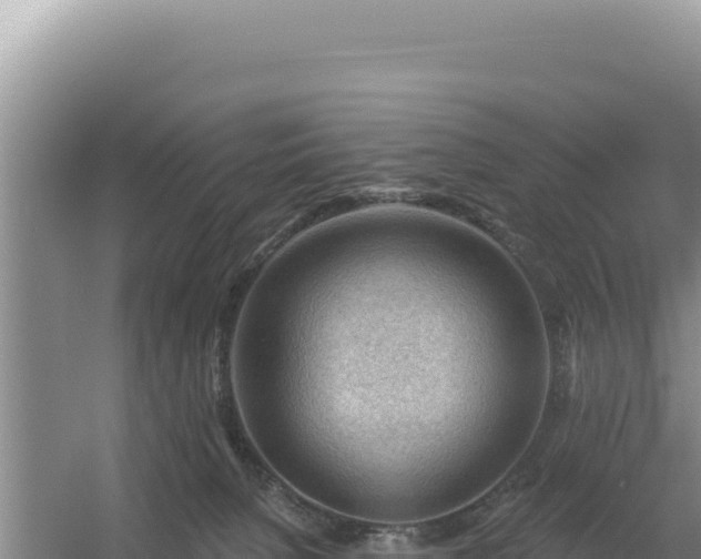 X0000054400080200508051725