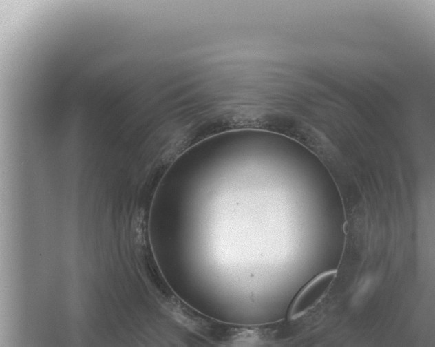 X0000054400083200508051725