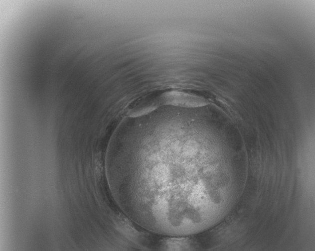 X0000054400085200508051725