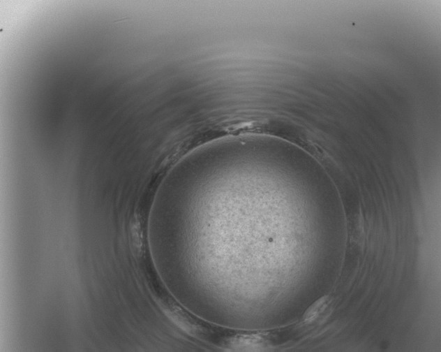 X0000054400086200508051725