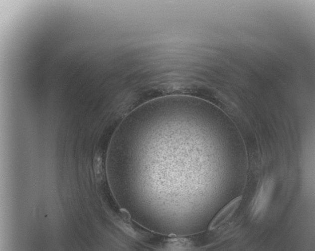 X0000054400087200508051725