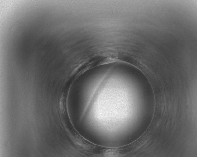 X0000054400088200508051725