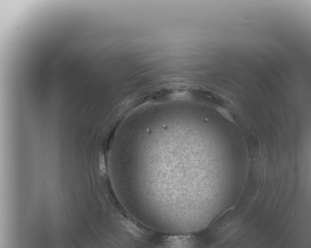 X0000054400089200508051725