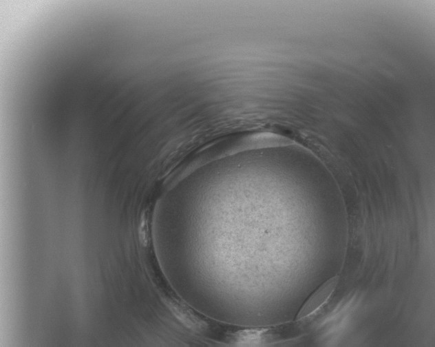 X0000054400090200508051725