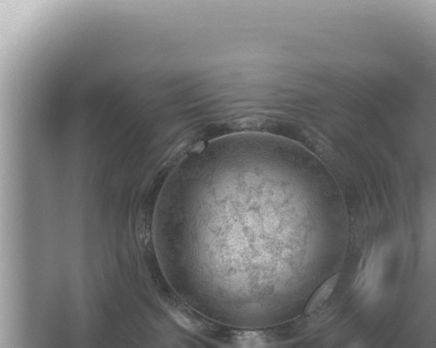 X0000054400091200508051725