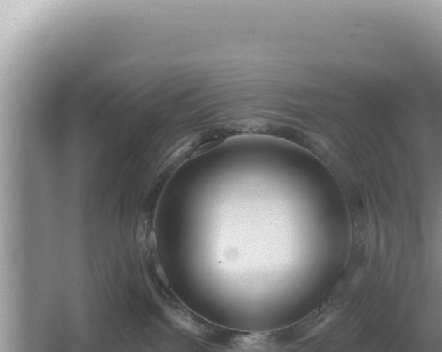 X0000054400092200508051725