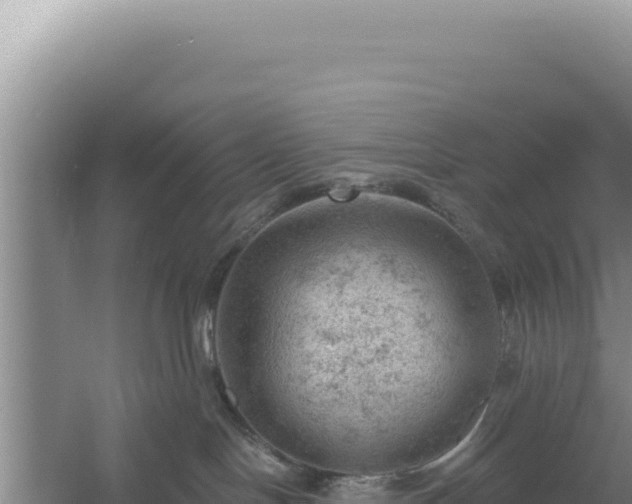 X0000054400094200508051725