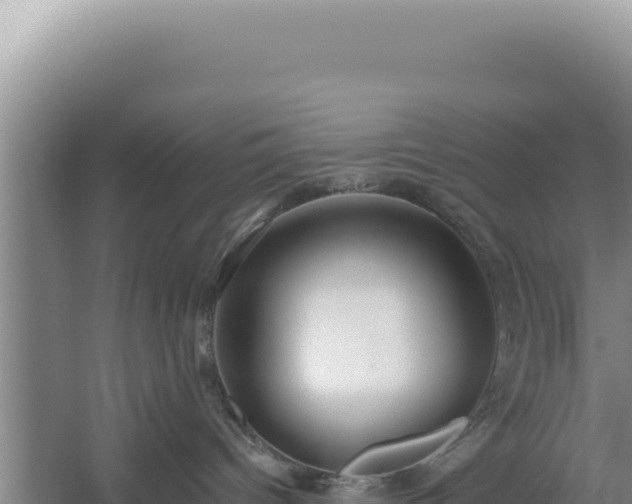 X0000054400096200508051725