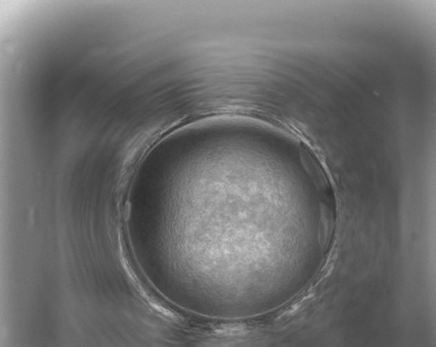 X0000054400097200508051724