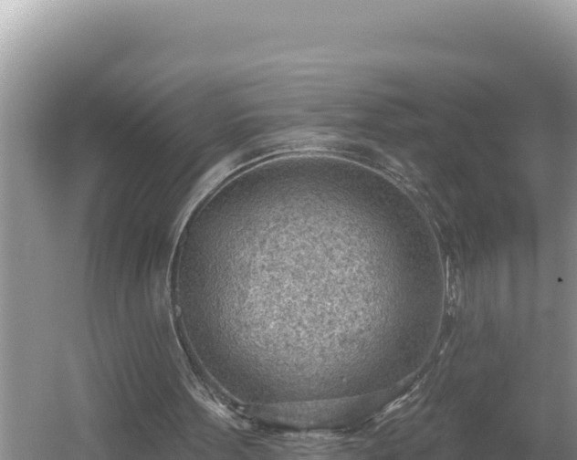 X0000054400099200508051724