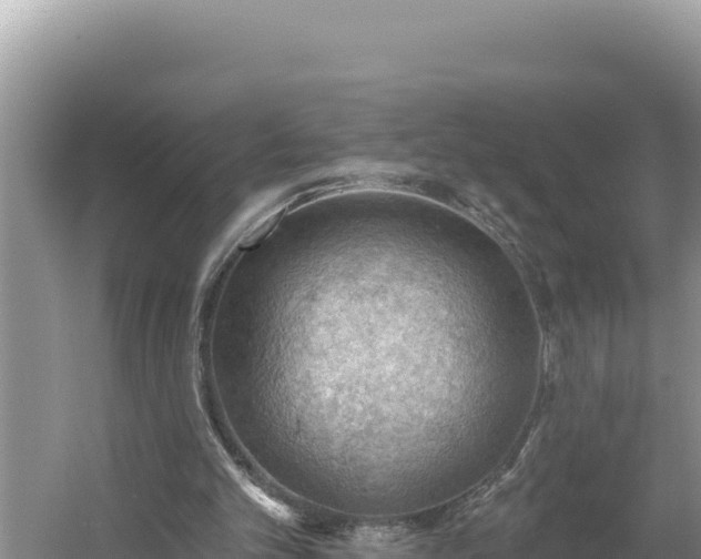 X0000054400101200508051724