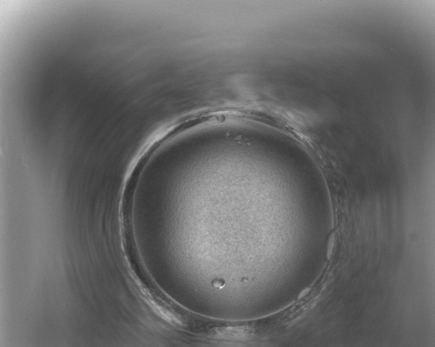 X0000054400102200508051724