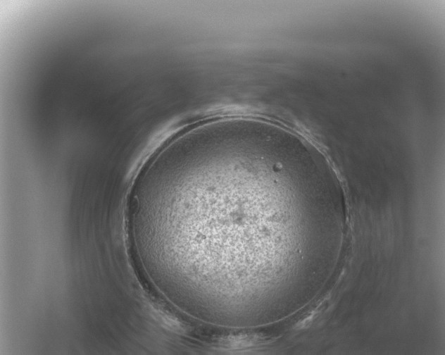 X0000054400103200508051724