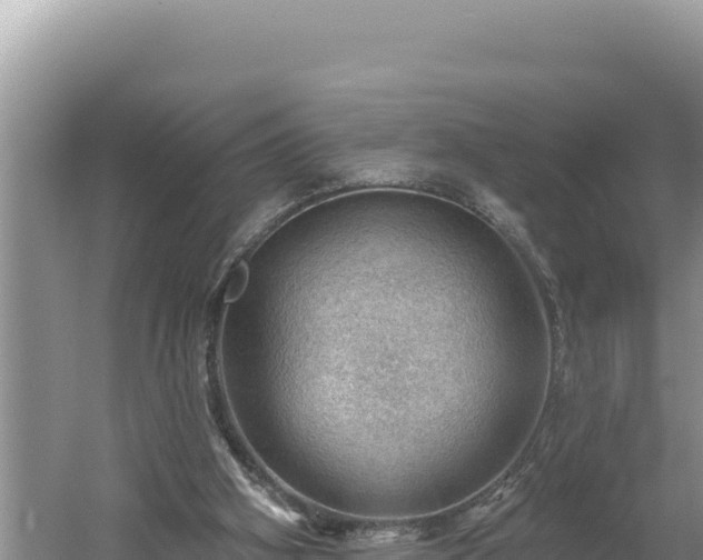 X0000054400106200508051724