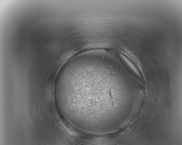 X0000054400107200508051724