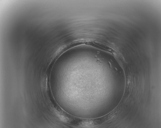 X0000054400110200508051724