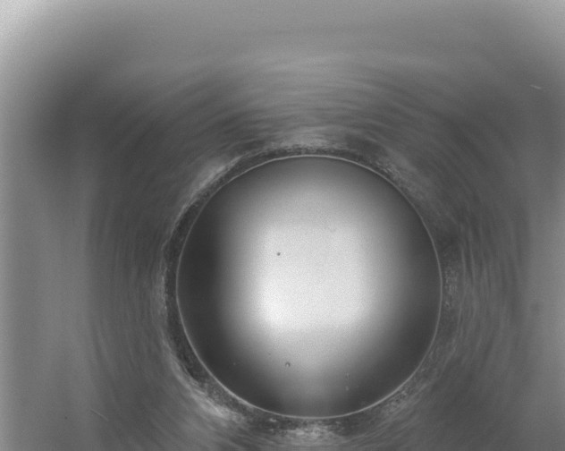 X0000054400112200508051724