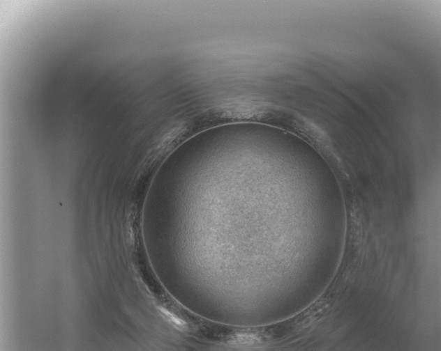 X0000054400114200508051724