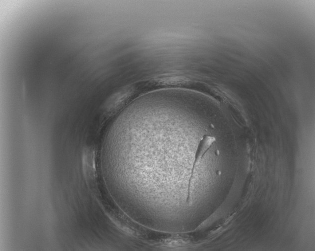 X0000054400115200508051724