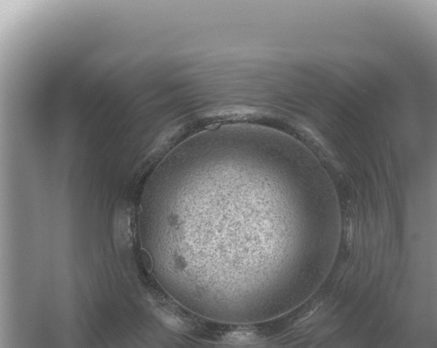 X0000054400119200508051724