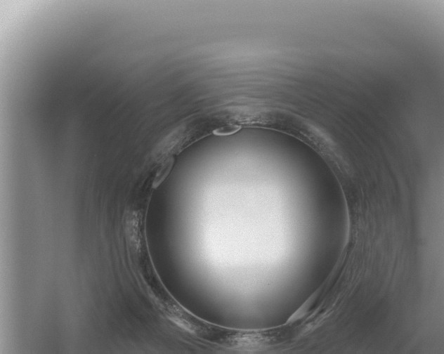 X0000054400121200508051724