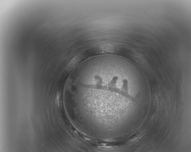 X0000054400123200508051724