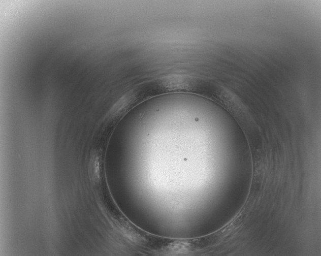 X0000054400124200508051724